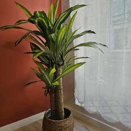 アパート La Casita Trivala